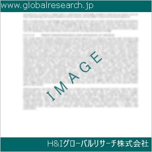 グローバルリサーチ調査資料のイメージ